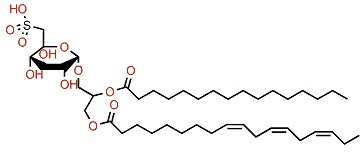 2-O-Hexadecanoyl-1-O-(9Z,12Z,15Z-octadecatrienoyl)glycerol 3-(6-deoxy-6-sulfo-a-D-glucopyranoside)